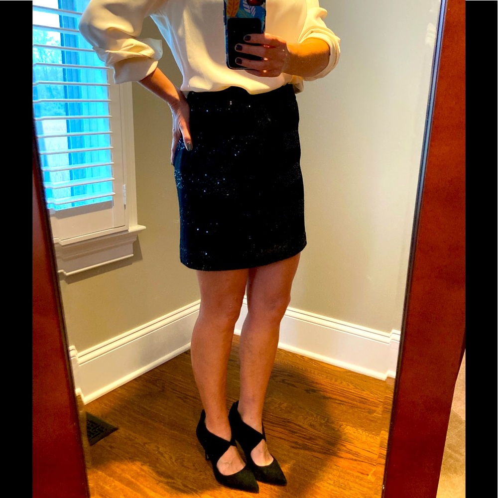 Black Skirt with a Flare of Sparkle